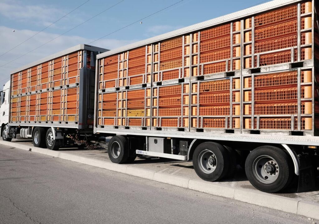 transporte-carga-viva